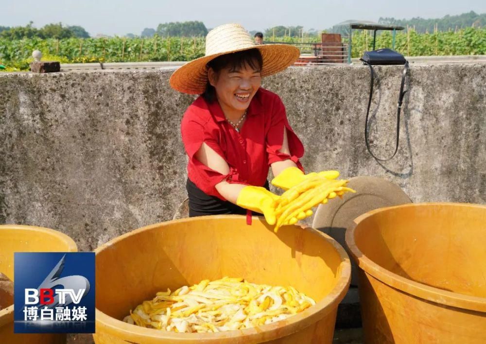 滋味|博白黄瓜皮、白粥，夏日酸爽好滋味！