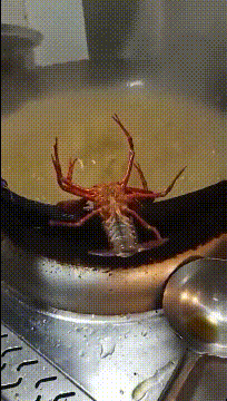 观众|搞笑GIF:此人太浪,观众都嗨了!