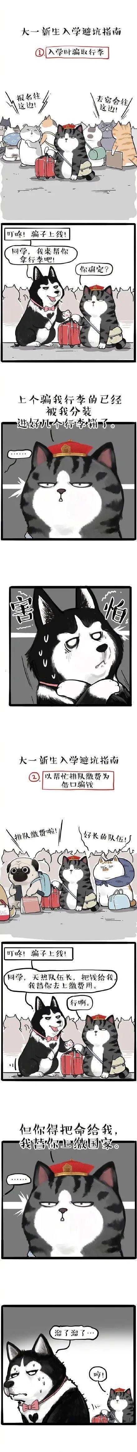 开学|大学新生开学防骗攻略请收好~！