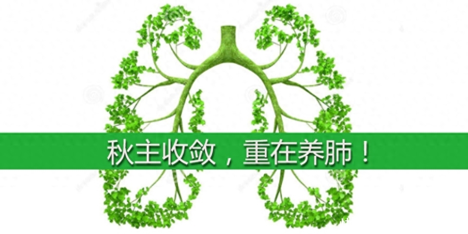 秋季养生，养肺是关键！提醒：肺喜欢“5白”，秋季不妨经常吃2023