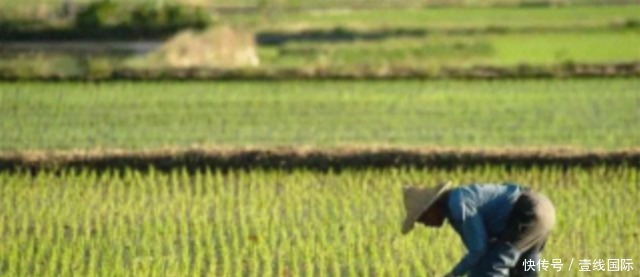  全世界|联合国紧急预警，第二场危机已席卷而来！给全世界敲响了警钟