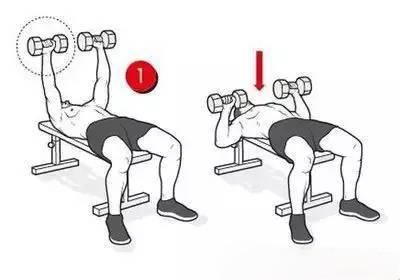  胸肌|男人胸肌锻炼指导