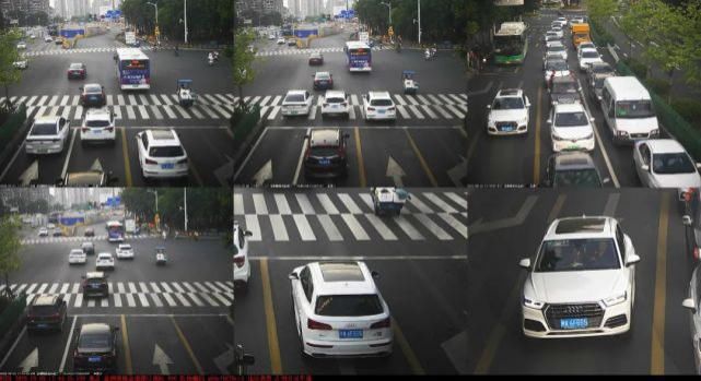 占用公交|闽AV256F、闽ASH677……一大批闽A车被曝光！