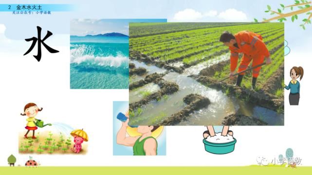  识字|部编版一年级语文上册识字2《金木水火土》课件及同步练习