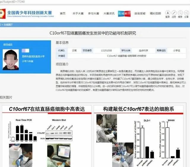  学生陈某某|官方调查小学生研究癌症获奖事件 详情始末回顾 为何会引发争议？