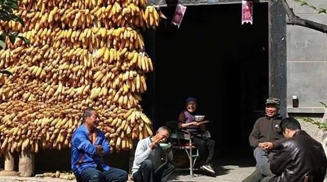 赡养|农村出现的“轮替赡养”现象，老人怎么看，全是无奈