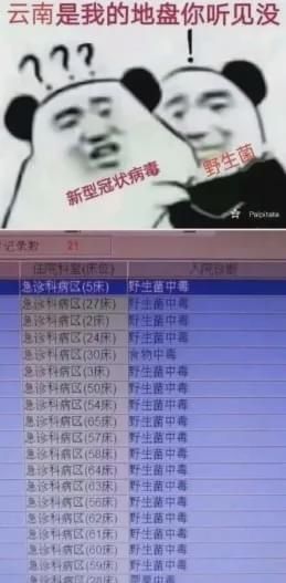  中毒|云南一年一度花样中毒大戏上演了！《山海经》诚不欺我