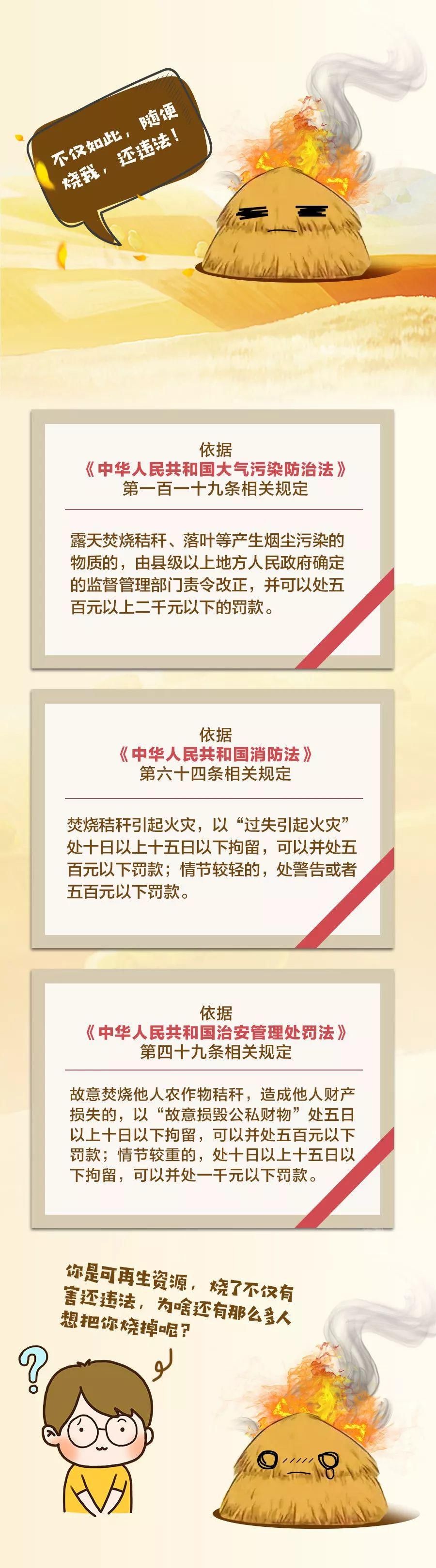 误会|“我不是废物！”对于人们的误会，秸秆有话要说