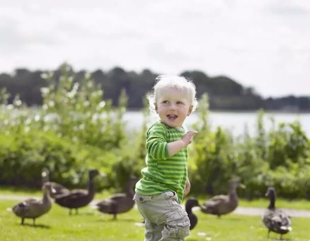  亲近|孩子专注力差? 3种方式带孩子亲近大自然, 是提高专注力最好方法