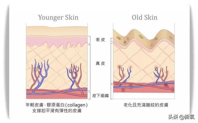  产后|高圆圆复出有点坎坷，产后1年首次亮相网友们为这生图吵翻天