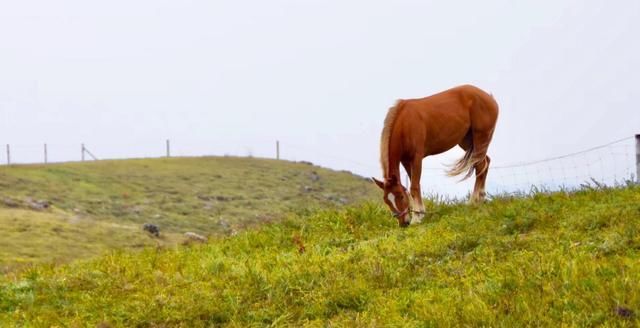 东线|草原天路（四）——东线