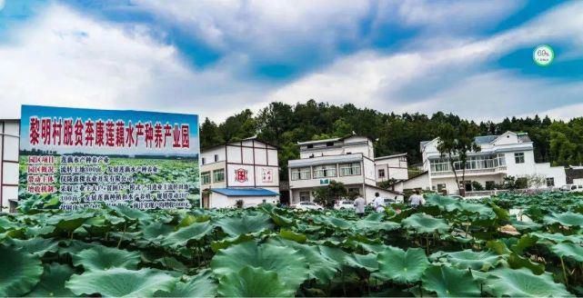  入选|仪陇！入选四川第二批天府旅游名县命名县！还有......