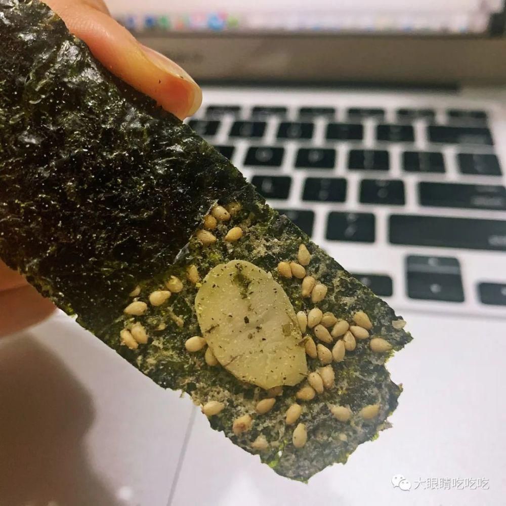 奇妙|一场属于海苔的奇妙之旅