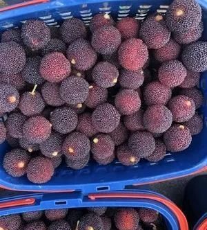 酸酸甜甜|自制酸酸甜甜的冰镇杨梅汤,消暑解渴,炎炎夏日喝一碗太爽了