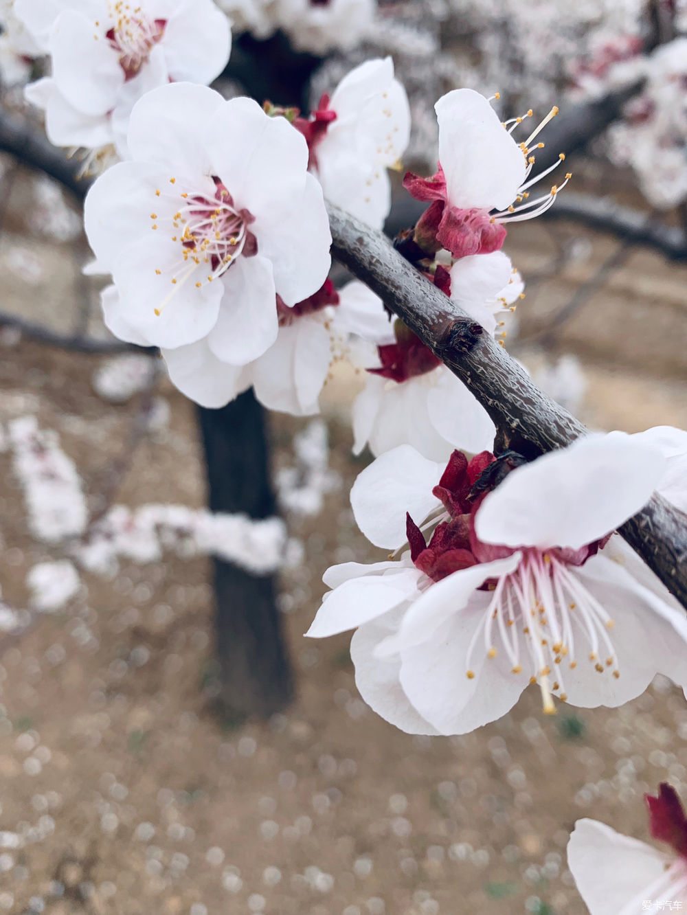  解释|【我们都过了解释的年纪】新的起点，出发吧