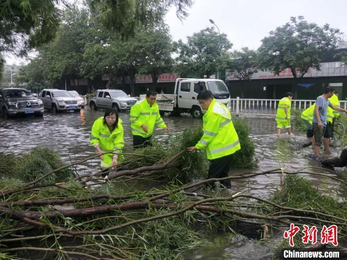 倒伏|强降雨致河南漯河城市内涝、树木倒伏严重