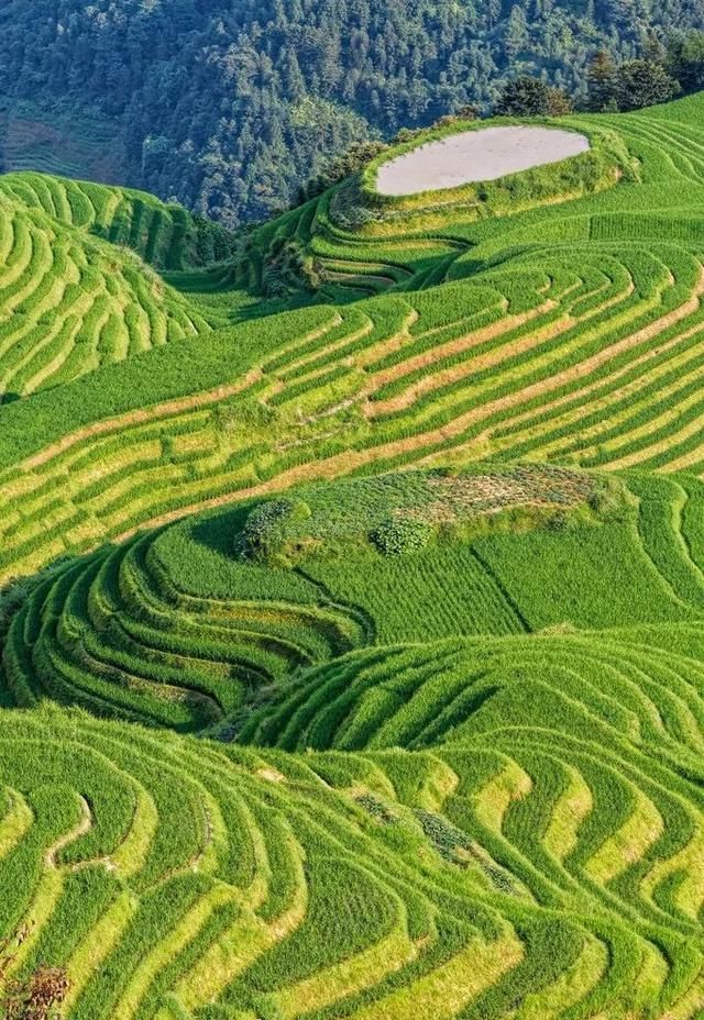  中国|凉过贵州！仙过云南！这个不被关注的秘境藏着中国最爽的夏天