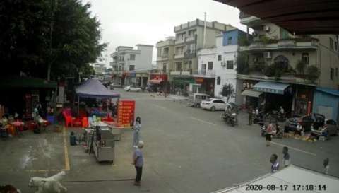  意外事件|12岁女童牵狗被挣脱 狗绳绊倒88岁老人致其死亡 当地通报：系意外事件