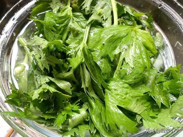  爽口|芹菜的叶子不要再扔了，教你做爽口小菜，刮油祛火，比芹菜还好吃