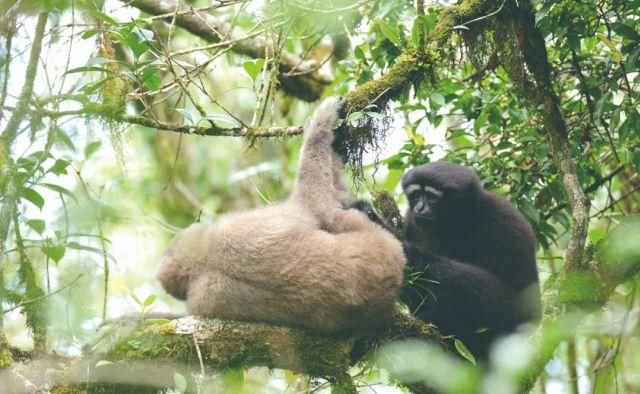 生长|云之南，一个生生不息、万物生长的地方