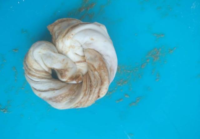  芝麻酱|教你做麻酱花卷，全家都爱吃，零失败