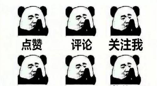  秘籍|养猪场秘籍：猪圈太臭怎么办？只需一个办法就解决，还能提高肉质