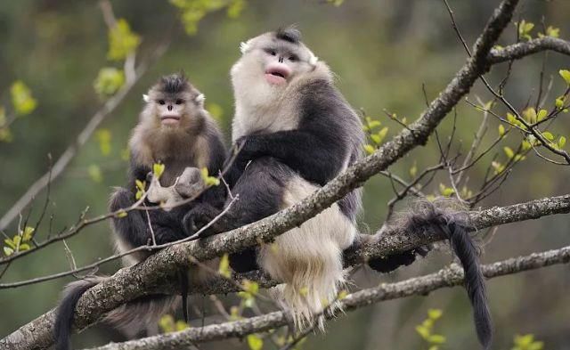 生长|云之南，一个生生不息、万物生长的地方