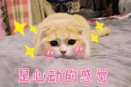 离婚|昨天离婚，今天结婚！苏州一男子“赚”了300万