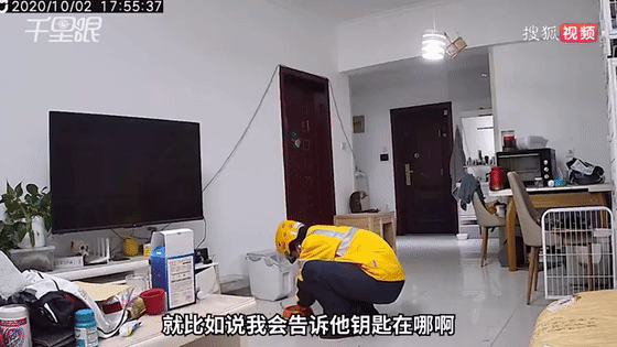 假期|神操作！男子假期出游，雇“跑腿小哥”到家里遛狗…