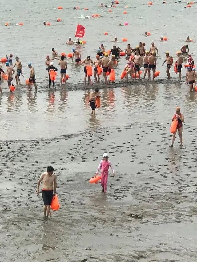  快来|2022位泳士今天横渡钱塘江！很多人还是第一次！快来给他们助威
