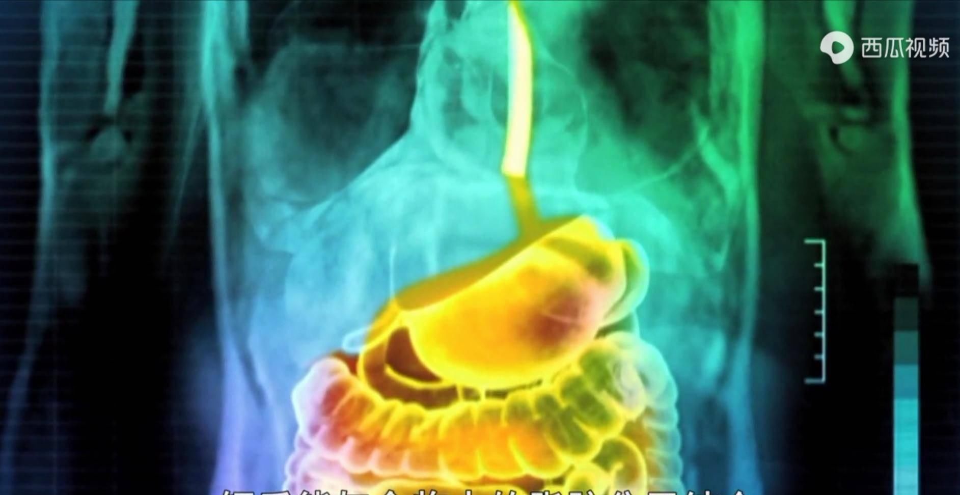  小迈|BBC纪录片《瘦身十律》：减肥你需要知道的十件事