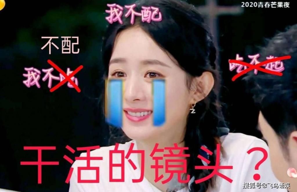  赵丽颖|《中餐厅》制作人怒怼赵丽颖粉丝：有怨恨来这骂！剧本祭天还是情商低