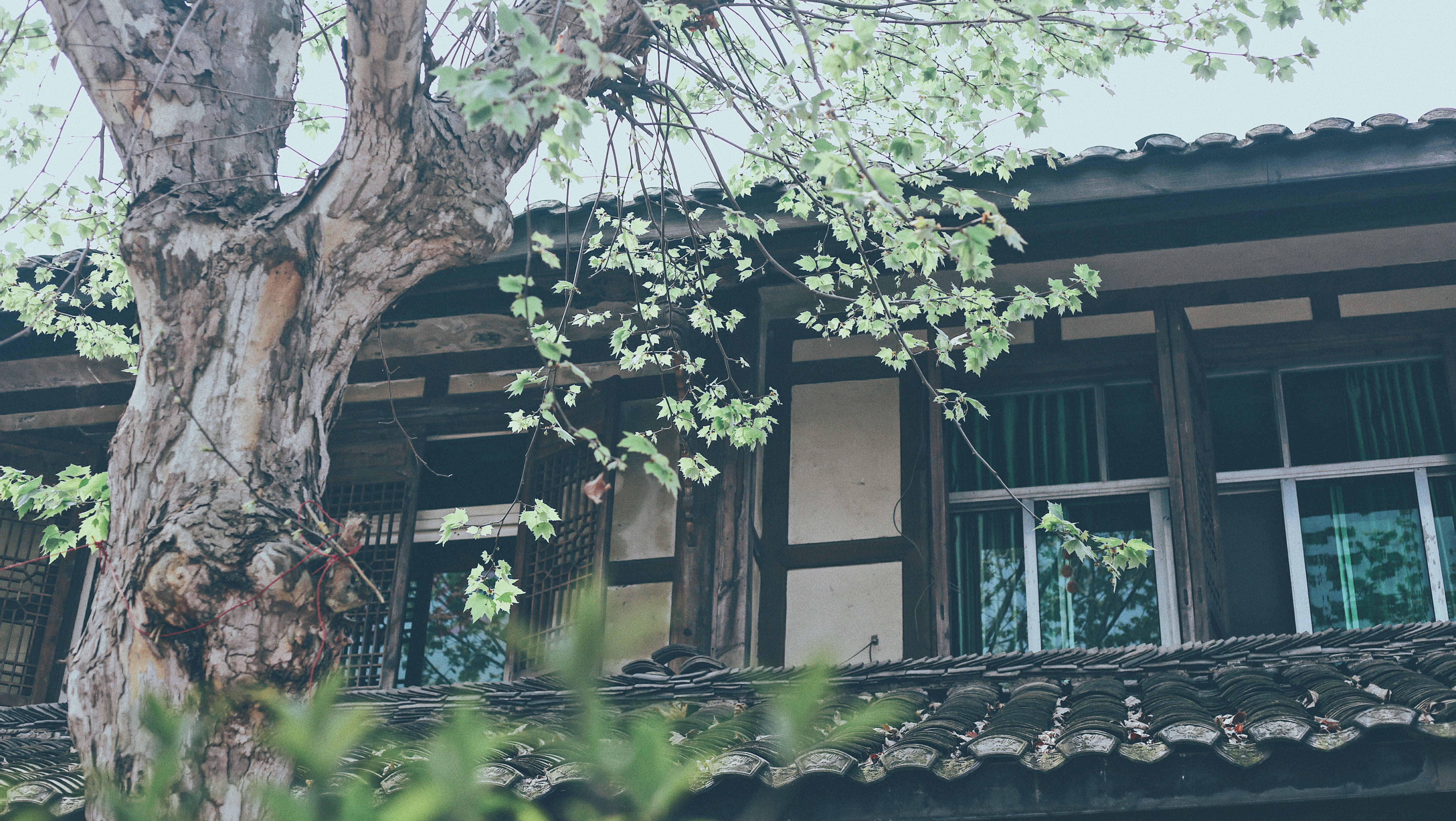 记录一下|成都,撑肚!成都的旅途中,少不了美食的“浓墨重彩”