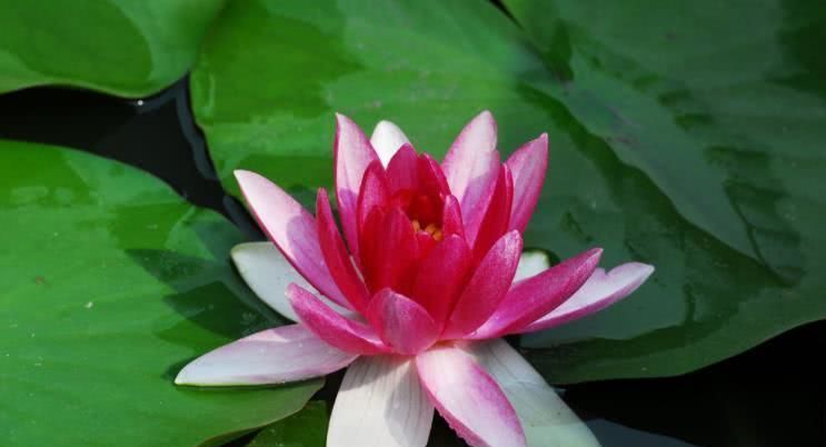  赚钱|8月开始赚钱如流水，贵人运旺，富贵不倒的四大属相