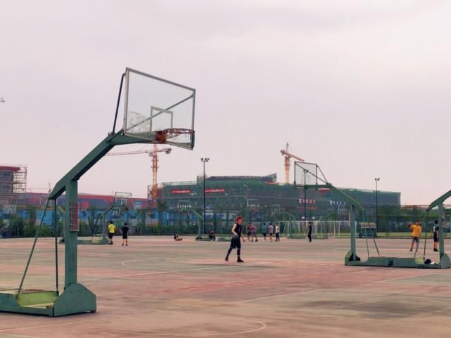 返校|橙子们，欢迎回家！