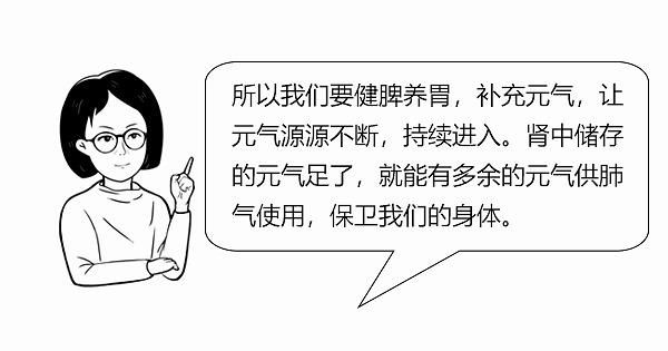 中医|大白话说中医第六十七期|同病异病看整体，健脾养胃生元气