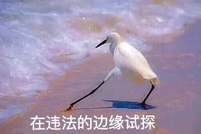 人顶|酒驾撞车后找人顶包！戏精司机面对交警询问露马脚