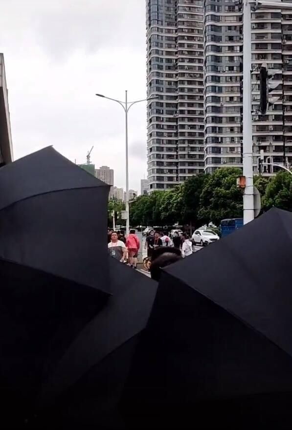  以看得到|赵丽颖《中餐厅》节目组防的多严？十几把黑伞挡拍