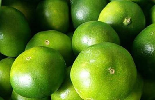 绿皮橘子|秋天到了,买橘子记得挑母的,大妈教我4招小技巧,一挑一个准