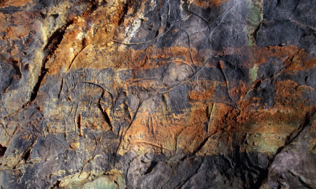 时期|艺术在原始人时期就已萌芽？498元的《史前艺术》告诉你