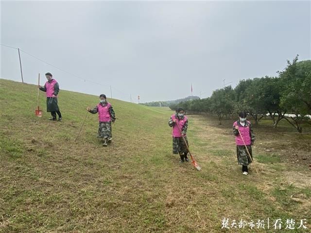  堤上|巾帼不让须眉，汉江堤上来了一支女子防汛队