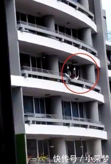 不慎|27岁女教师坐阳台栏杆自拍, 不慎坠楼身亡, 网友: 给自己拍遗照?