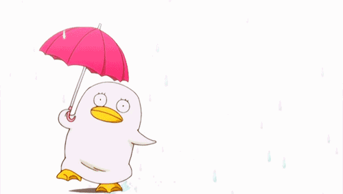 最低温|最低温降至5℃!河南雨雨雨+冷冷冷