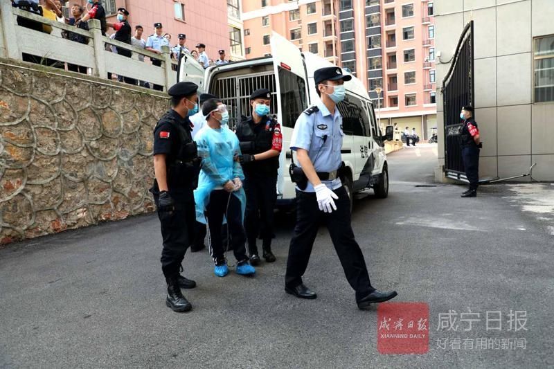 组织|通山一涉黑团伙18人全部伏法 警方披露累累恶行