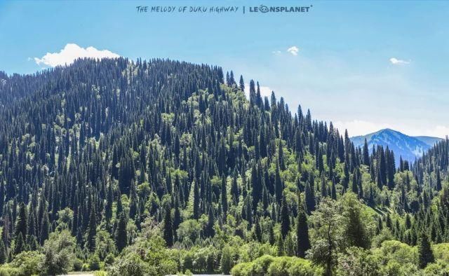  仙境|一生必走一次的“英雄之路”！逃离城市，驶入油画仙境