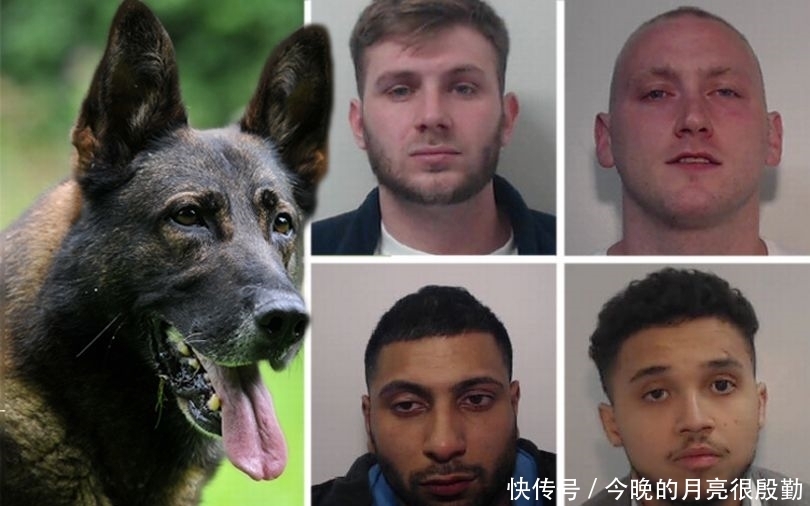 找到|4名男子庆祝抢劫成功时被警犬找到，抓捕后共判33年