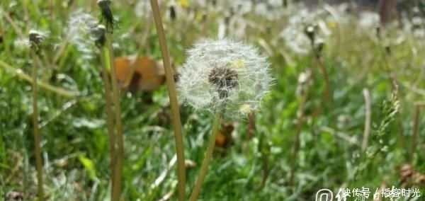 回复|10条知乎神回复,看完豁然开朗