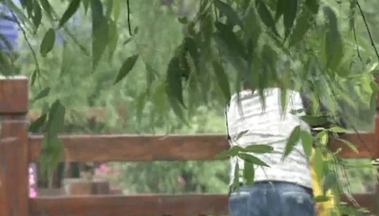 女子|已婚女子遇“真爱”，男子一句话让其被骗30多万：我真实身份是领导