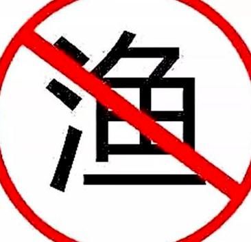  用拦河网|平安团风丨非法捕捞水产品6800多斤 团风一男子被刑事拘留