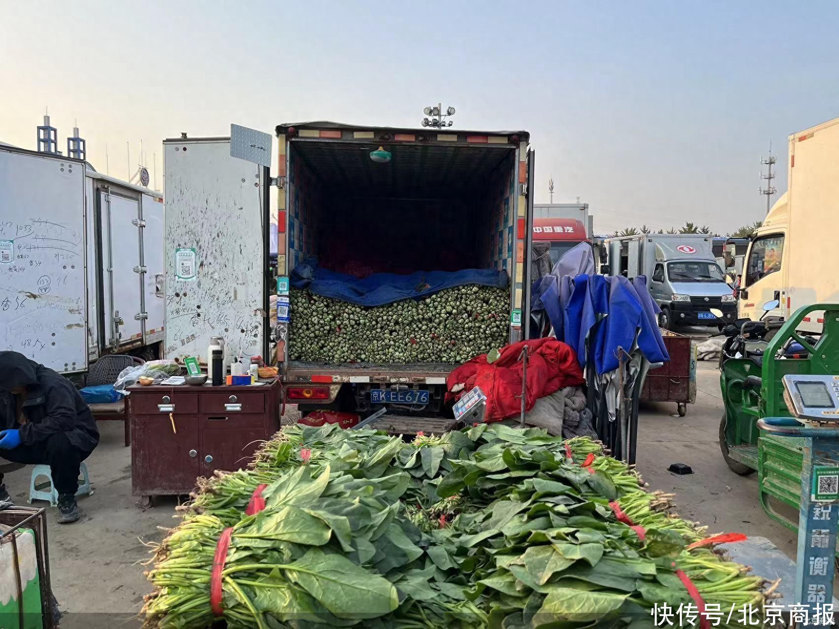 秋季蔬菜大量上市 北京叶类菜价格下降